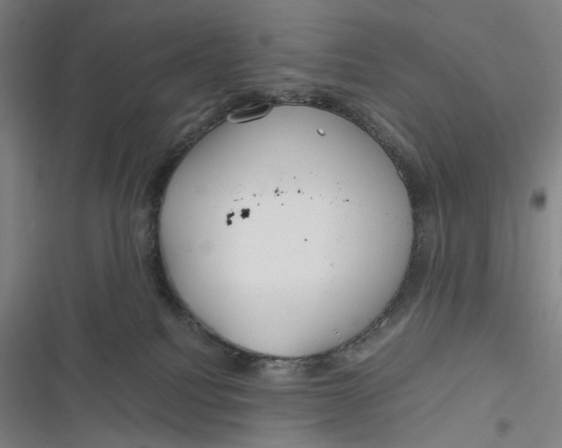 X0000116800088201001081343