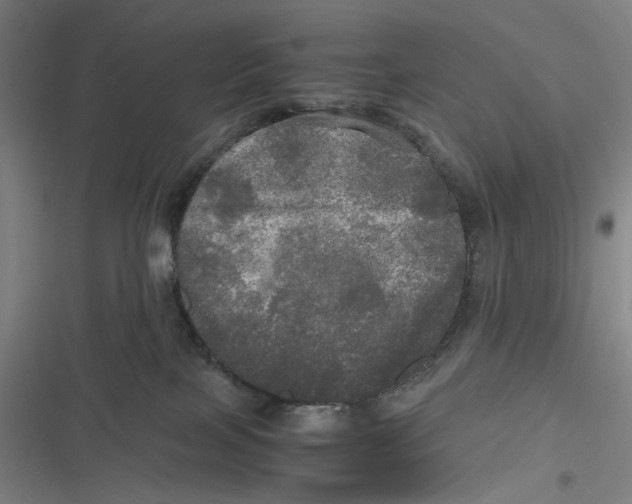 X0000116800089201001081343