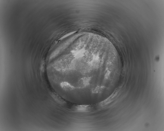 X0000116800090201001081343