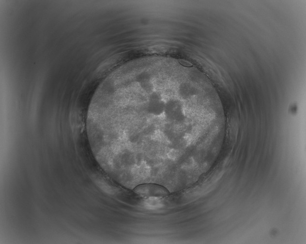 X0000116800091201001081343
