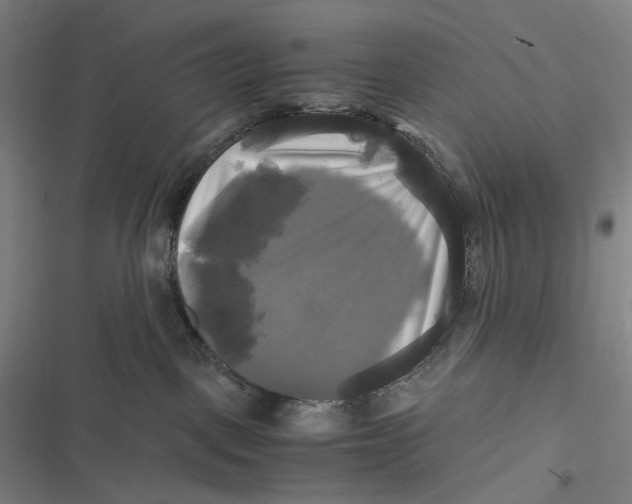 X0000116800093201001081343