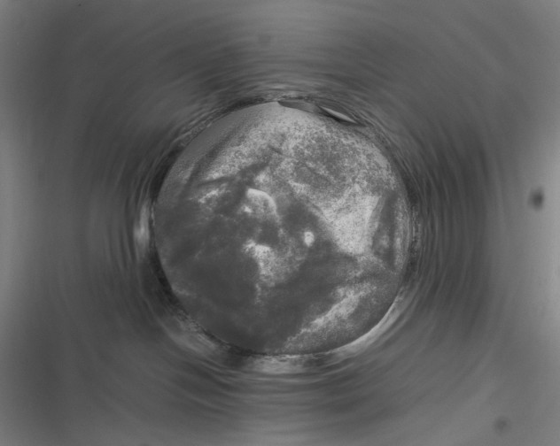 X0000116800094201001081343