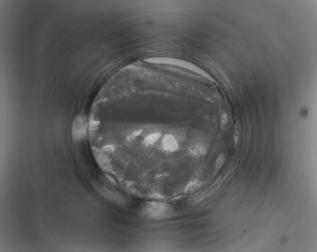 X0000116800095201001081343