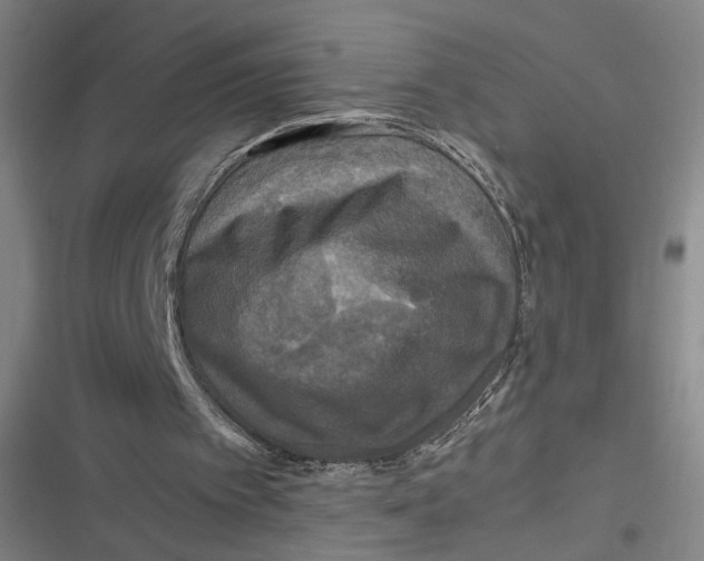 X0000116800097201001081343