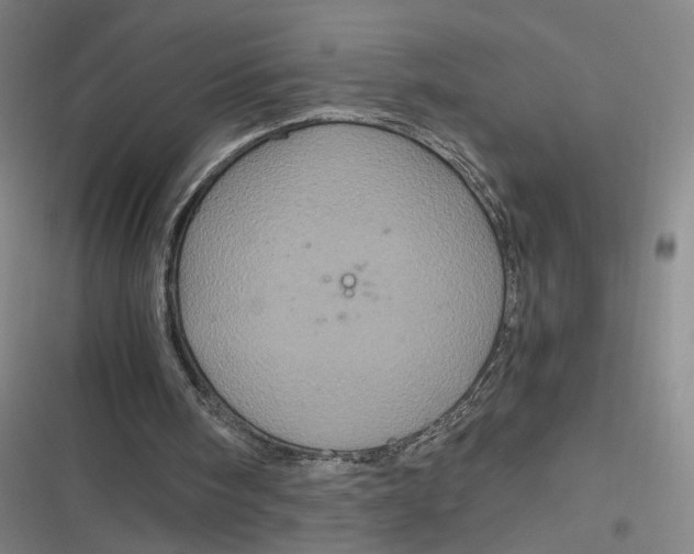 X0000116800098201001081343