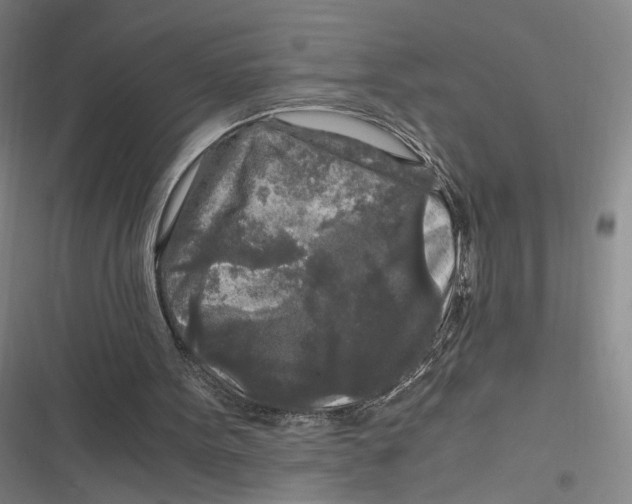 X0000116800099201001081343