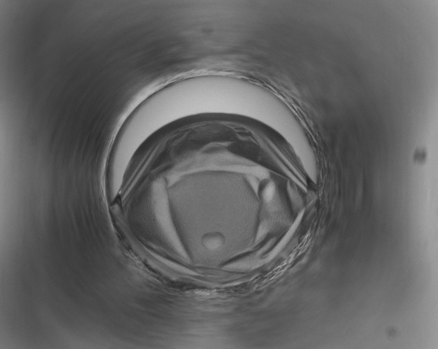 X0000116800100201001081343