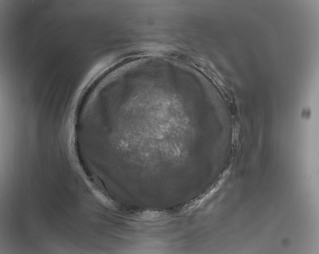 X0000116800101201001081343