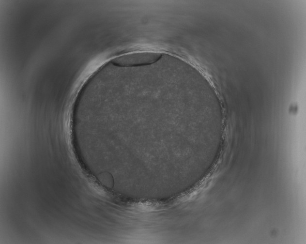 X0000116800103201001081343