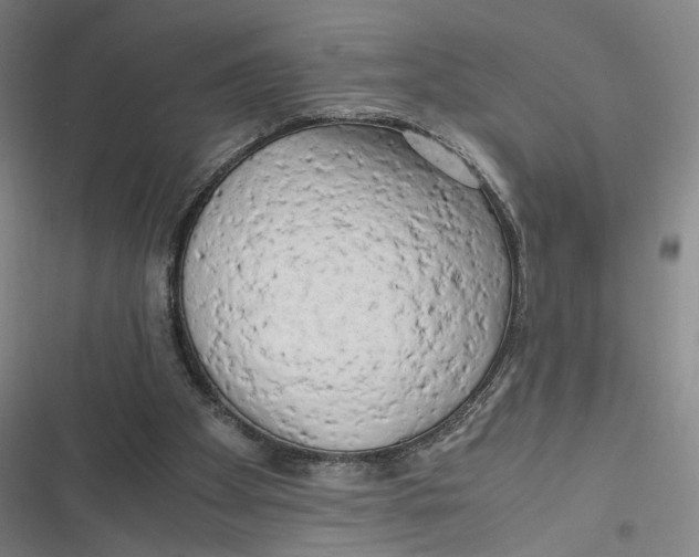 X0000116800105201001081343