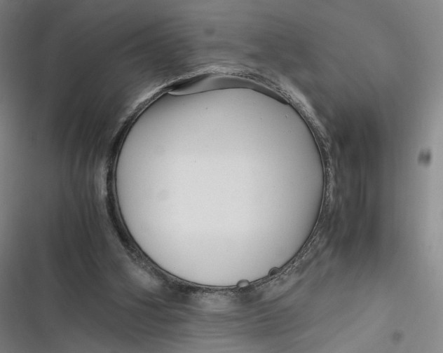 X0000116800106201001081343