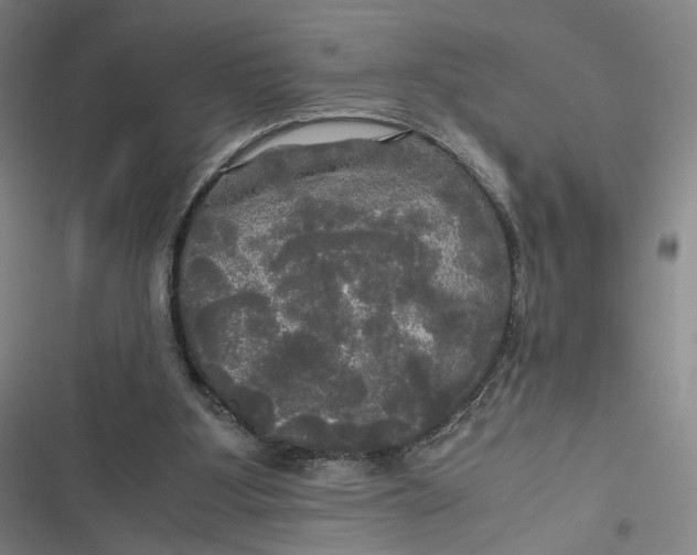 X0000116800107201001081343