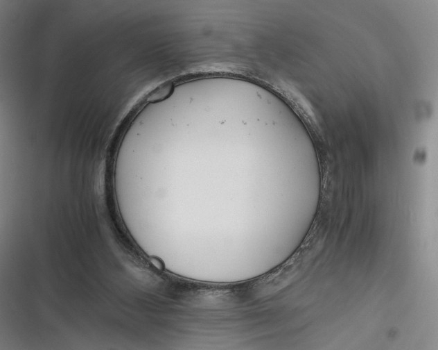 X0000116800108201001081343