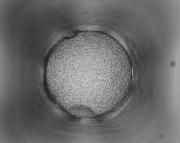 X0000116800109201001081343