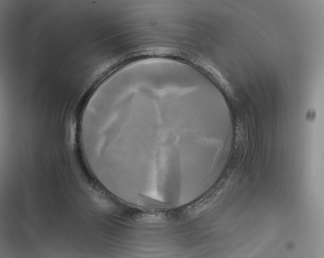 X0000116800110201001081343