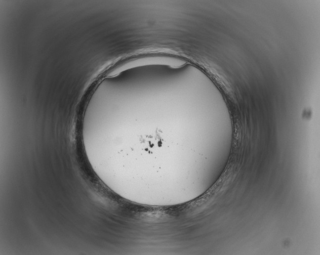 X0000116800112201001081342