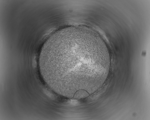 X0000116800114201001081342