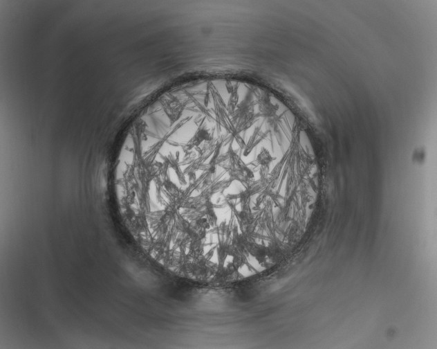 X0000116800115201001081342