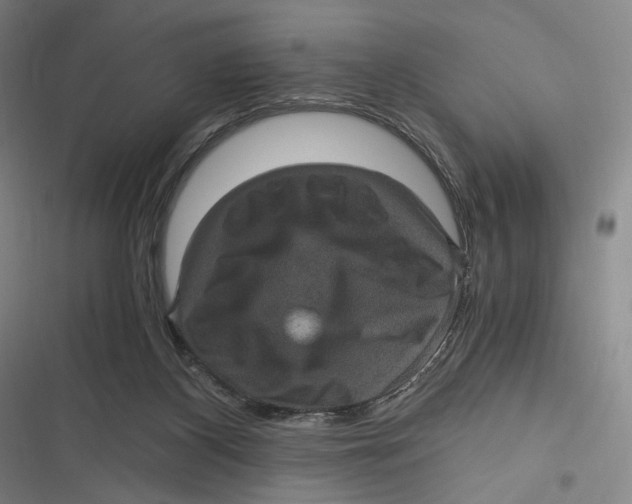X0000116800116201001081342