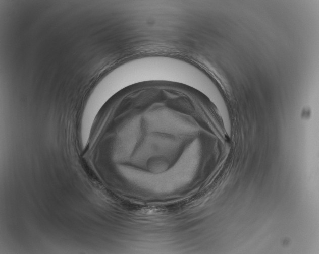 X0000116800117201001081342