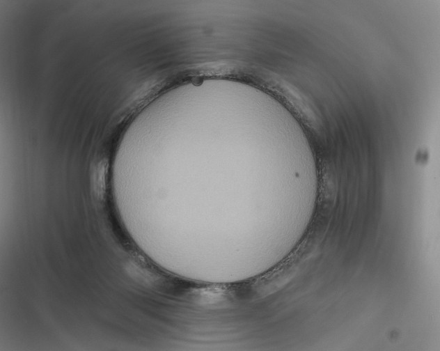 X0000116800118201001081342