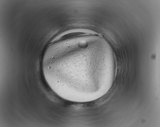 X0000116800120201001081342