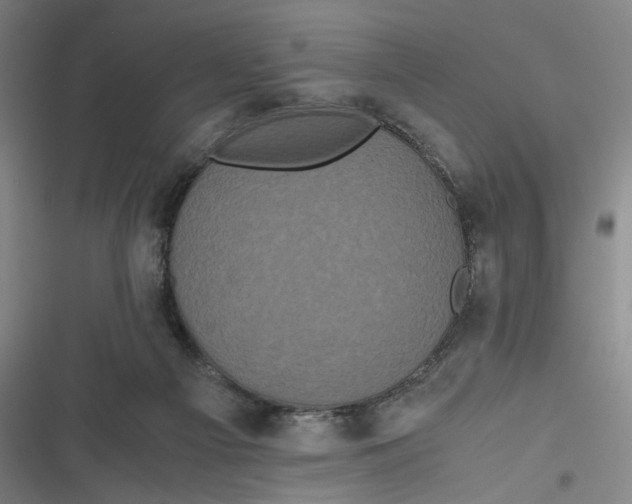X0000116800121201001081342