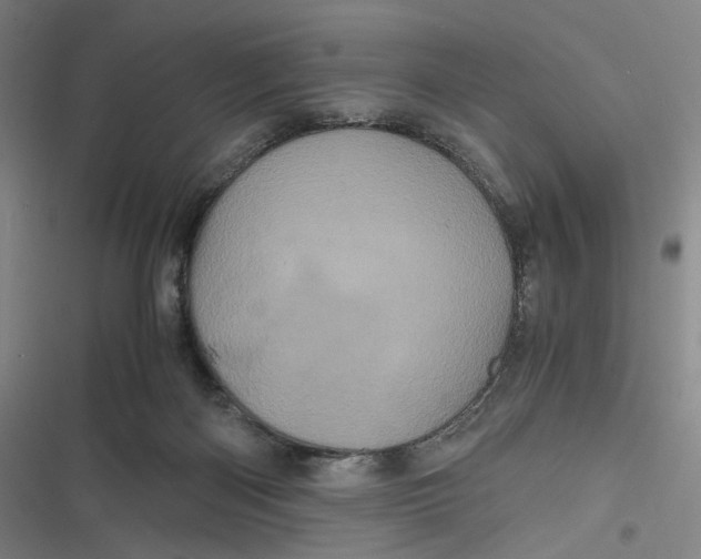 X0000116800122201001081342