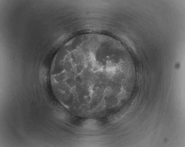 X0000116800123201001081342