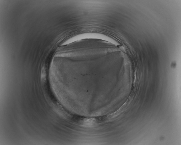 X0000116800124201001081342