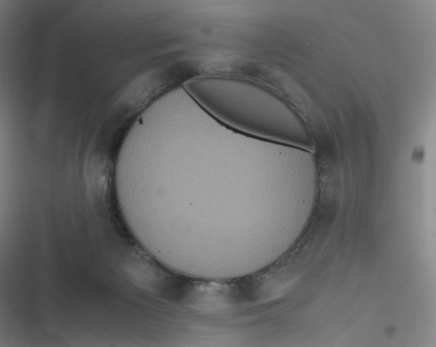 X0000116800125201001081342