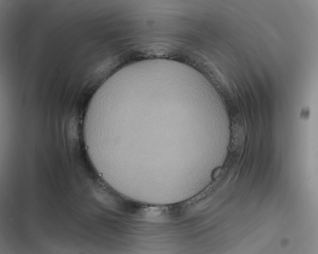 X0000116800126201001081342