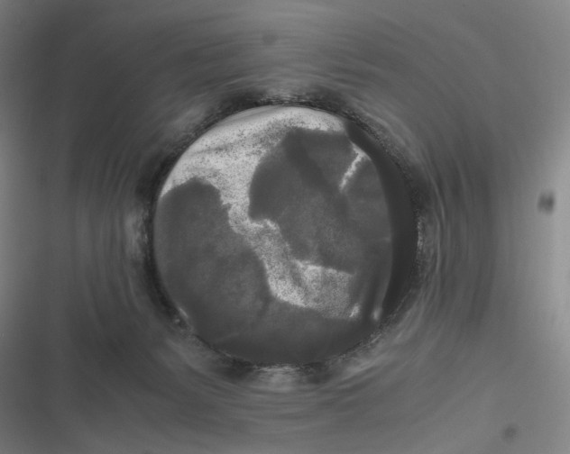 X0000116800127201001081342