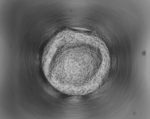 X0000116800128201001081342