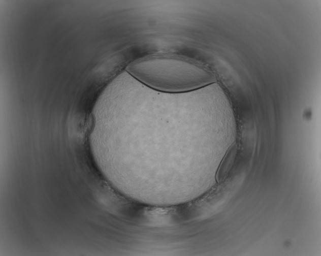 X0000116800129201001081342