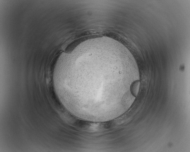 X0000116800130201001081342