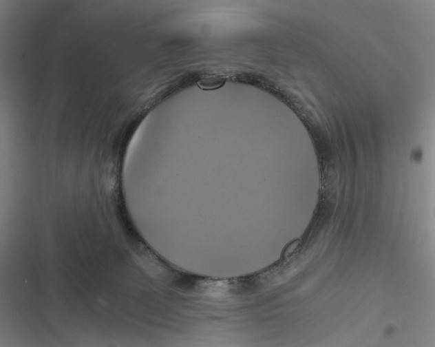 X0000116800131201001081342
