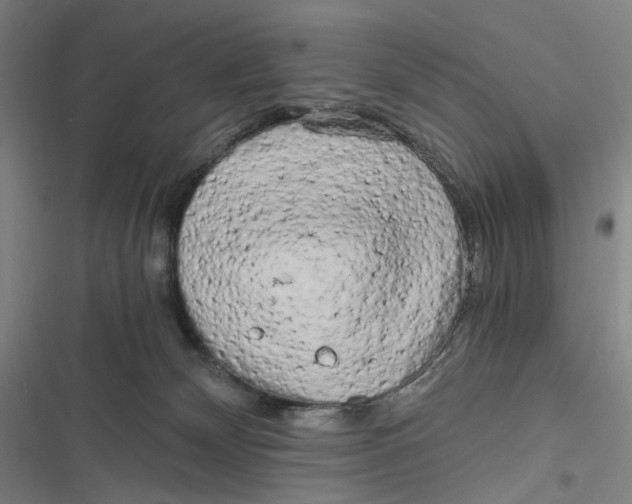 X0000116800132201001081342