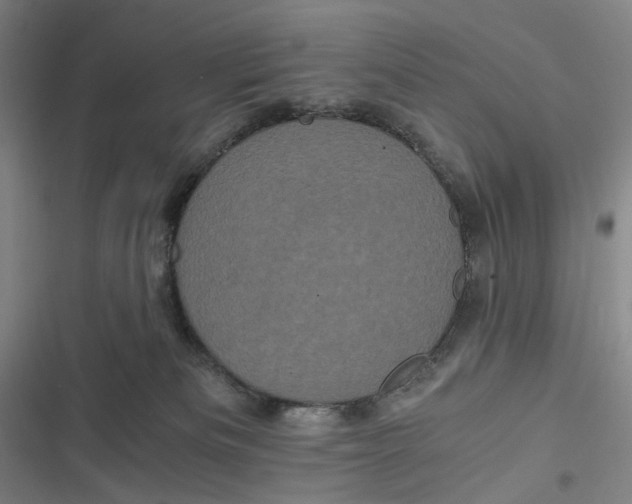 X0000116800133201001081342