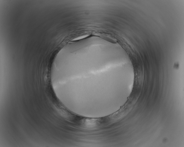 X0000116800134201001081342