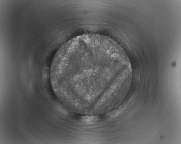X0000116800135201001081342