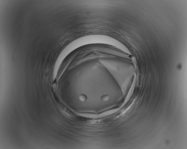 X0000116800136201001081342