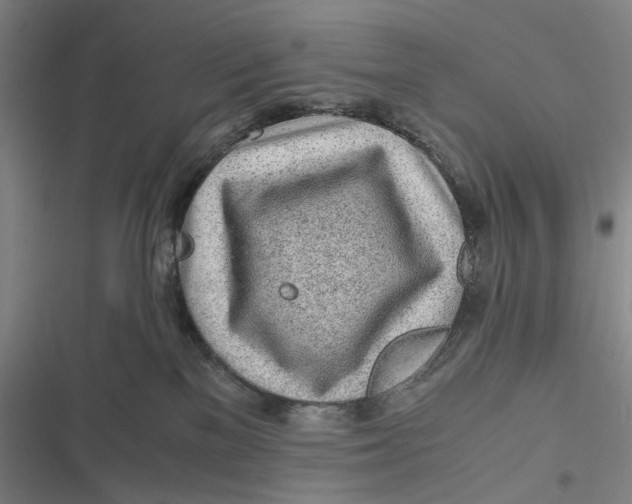 X0000116800137201001081342