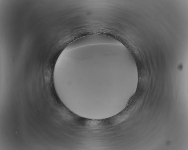 X0000116800139201001081342