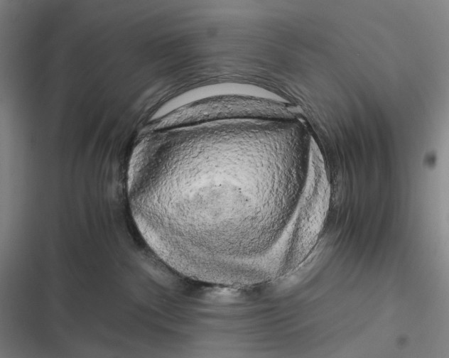 X0000116800140201001081342