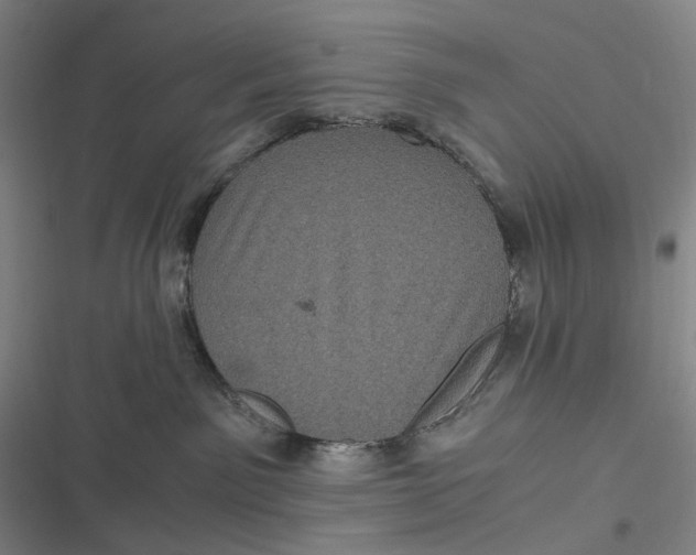 X0000116800141201001081342