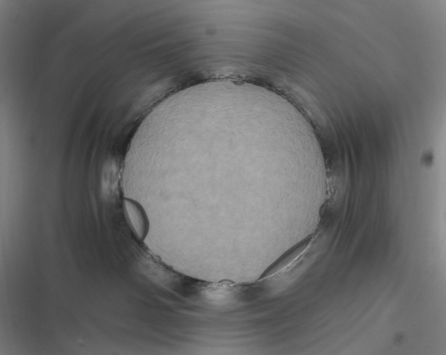 X0000116800142201001081342