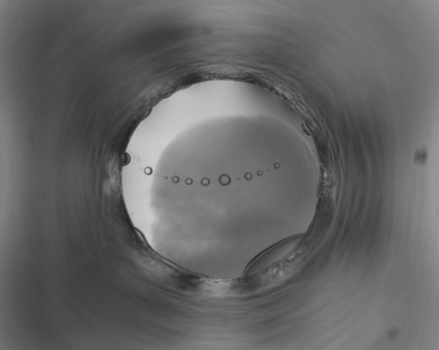 X0000116800143201001081342