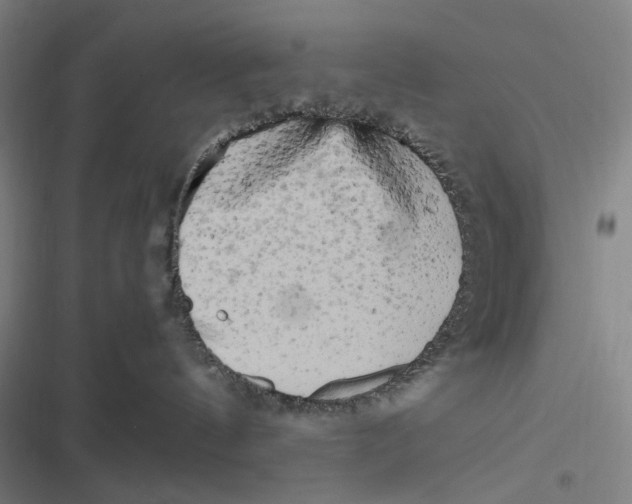 X0000116800144201001081342