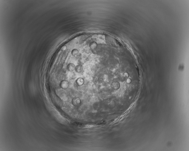 X0000116800145201001081341